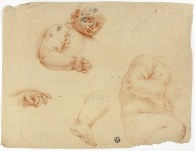 Croquis d