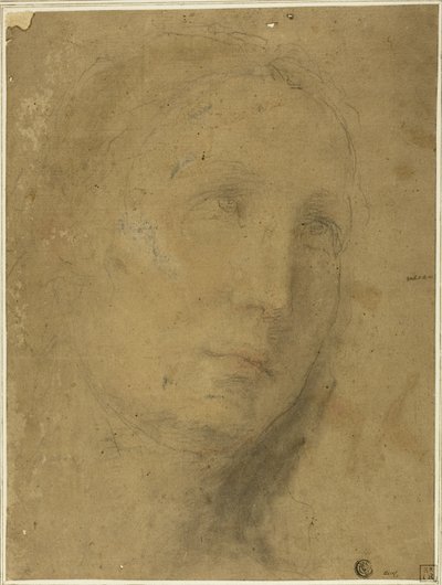 Tête tournée vers le haut - Unknown Sienese