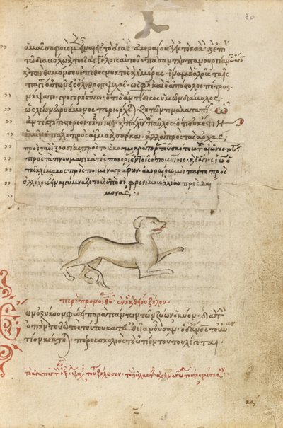 Un chien - Unknown artist