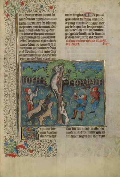 Un chasseur et des chiens attaquent un chat sauvage arboré - Unknown artist