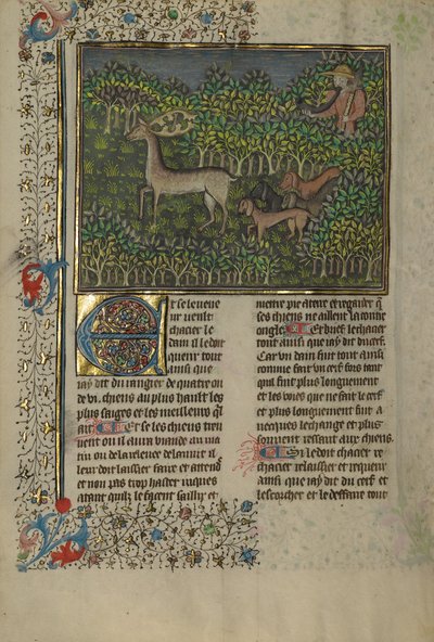 Un chasseur et des chiens à la poursuite d