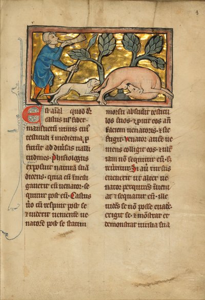 Un chasseur et un castor - Unknown artist