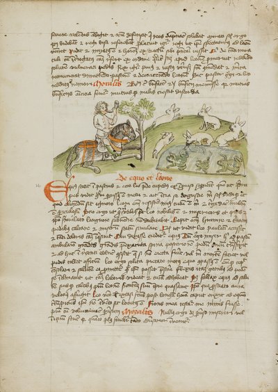Un chasseur à cheval chassant le lièvre - Unknown artist