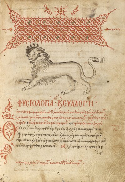 Un lion - Unknown artist
