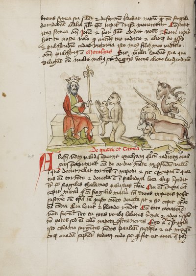 Un singe à genoux devant Jupiter - Unknown artist