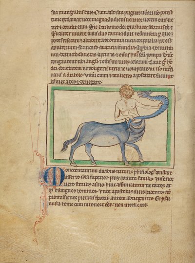 A Monocentaure - Unknown artist