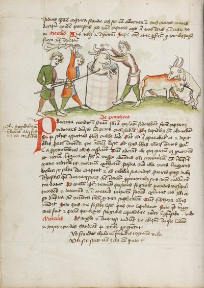 Une panthère qui avait attaqué une vache est tuée - Unknown artist