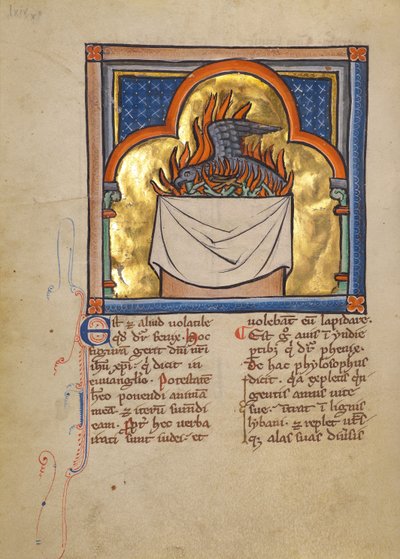 Un Phoenix - Unknown artist