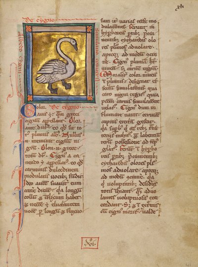 Un cygne - Unknown artist