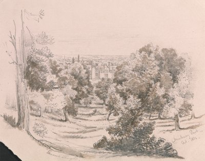 Vue de Danbury Park - Unknown artist