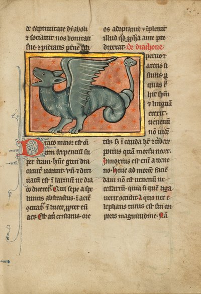 Un dragon ailé - Unknown artist