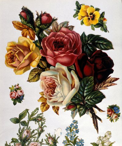 Un bouquet de roses. Chromolithographie du 19ème siècle. - Unknown artist