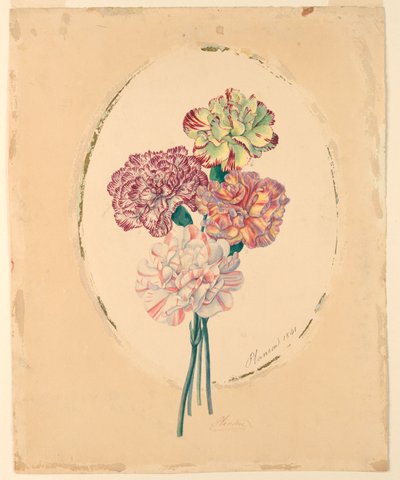 Un bouquet de quatre œillets - Unknown artist
