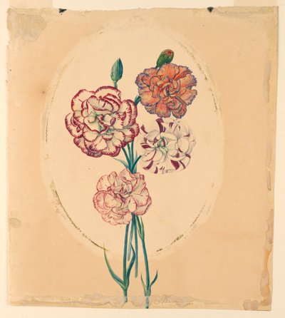 Un bouquet de quatre œillets - Unknown artist