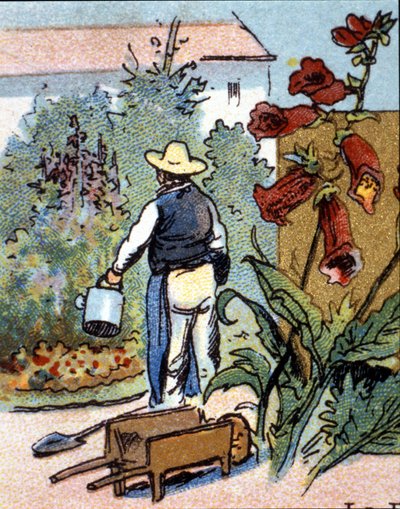 Un jardinier, chromolithographie - Unknown artist