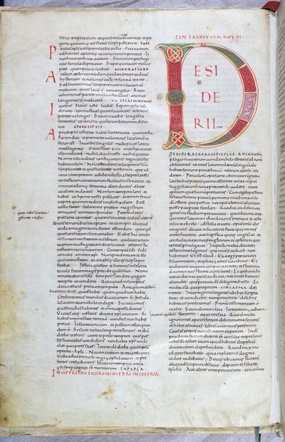 Une page de la Bible du 11e siècle avec la lettre majuscule D - Unknown artist