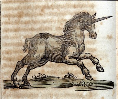 Une licorne, animal mythologique - Gravure d