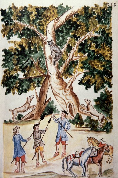 Un chat sauvage perché sur un arbre, des chasseurs l