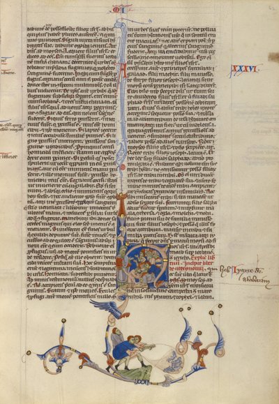 Bible de l