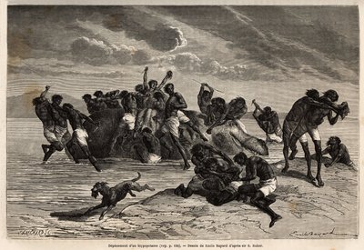 Après avoir pris sa part et la part attribuée au chef de la tribu Hamran, la foule se bat brutalement pour les morceaux restants. Gravure pour illustrer l