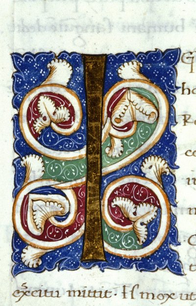 Alphabet : lettre miniaturée I - Unknown artist