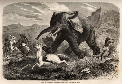 Un éléphant termine la troupe qui le chassait et charge les chasseurs à cheval, tandis que l