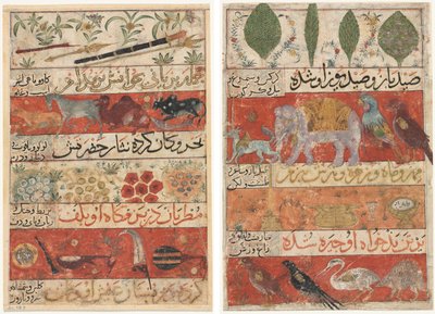 Animaux, pierres précieuses, pièces de monnaie et instruments de musique (recto); Animaux, oiseaux et plantes (verso) du Mu