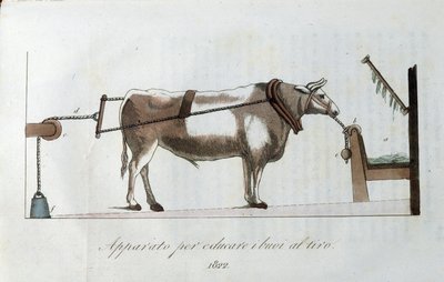 Appareil pour habituer les bœufs à la ligne. Planche tirée du « Giornale dell