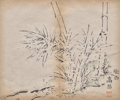 Bambou - Unknown artist