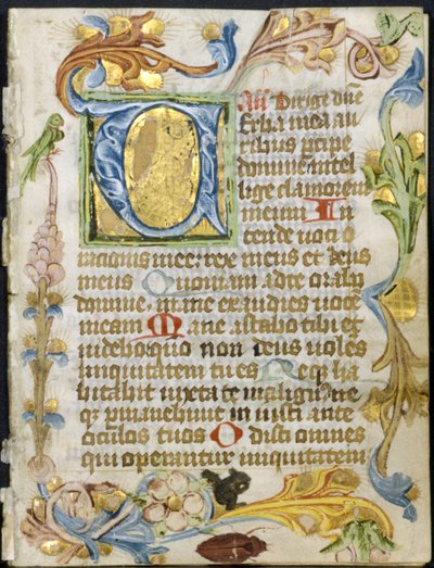 Bifolio d