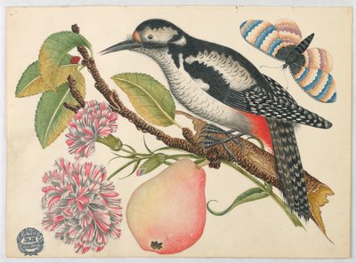 Oiseau, papillon et poire - Unknown artist