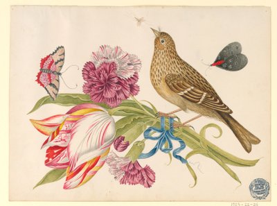 Oiseau avec tulipe, œillet, papillons et insecte - Unknown artist