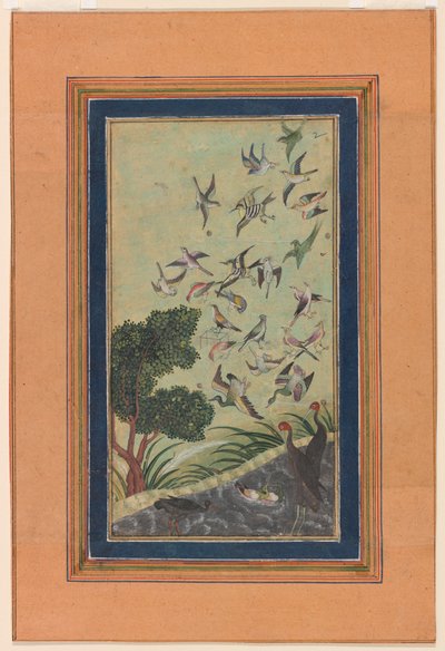 Oiseaux à Baran, peut-être du Babur-nama - Unknown artist