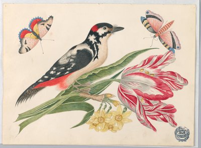 Oiseau moucheté noir et blanc sur une tige de tulipe, avec jonquilles et papillons - Unknown artist