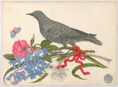 Oiseau Noir avec Fleurs, Papillon et Ruban Rouge - Unknown artist