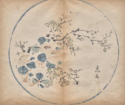Fleurs - Unknown artist
