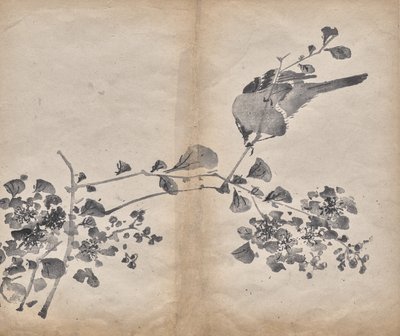 Fleurs - Unknown artist