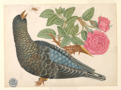 Oiseau bleu-noir sur une branche de rose avec araignée - Unknown artist