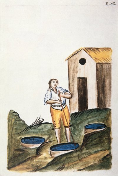 Plateau de teinture bleue utilisé pour teindre la laine, du livre "Trujillo del Peru" ou "Códice Martínez Compañón", par Baltazar Martinez Compañón y Bujanda, évêque de Trujillo (1782-1785) - Unknown artist