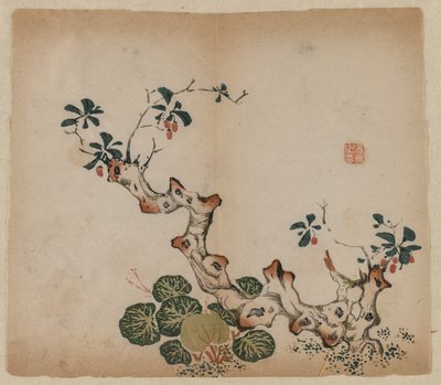 Souche Ramifiée - Unknown artist