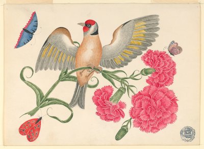 Oiseau Brun avec Tête Rouge sur Tige d