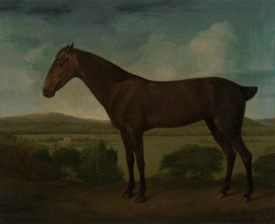 Cheval brun dans un paysage vallonné - Unknown artist