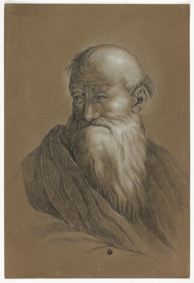 Buste de vieil homme barbu - Unknown artist