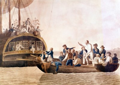 Capitaine William Bligh (1754 - 1817) du Bounty abandonné par son équipage. - Unknown artist