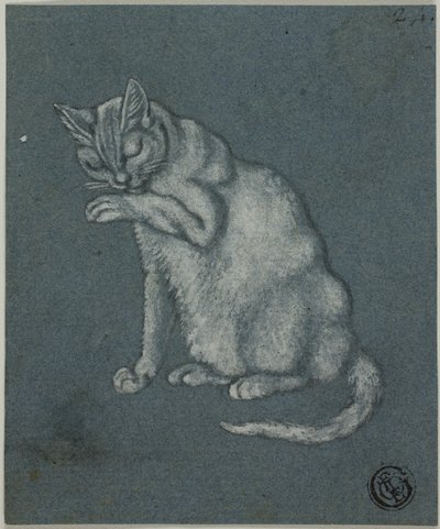 Chat léchant sa patte - Unknown artist