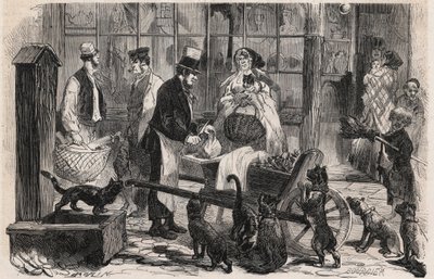 Marchand de viande pour chats dans une rue du quartier de Westminster à Londres, un marchand ambulant de viande de cheval pour chiens et chats - Gravure dans « Le Monde Illustré » - Unknown artist
