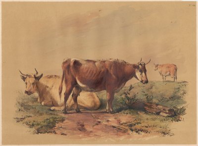 Bétail - Unknown artist
