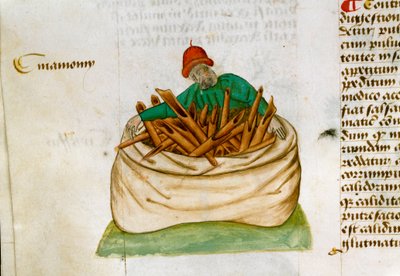 Vendeur de cannelle Description des plantes médicinales et comment les préparer. Page de manuscrit Traité sur les herbes (Tractatus de herbis) par Pedanius Dioscorides (Dioscorides) (40-90 ap. J.-C.) Lat.1152 - Unknown artist