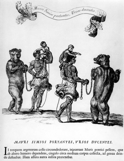 Cirque : fêtes à Versailles, dans « Festiva ad Capita annulumque Decursio, A Roge Ludovico 14... Paris, Imprimerie Royale - Unknown artist