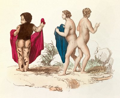 "Œuvres complètes de Buffon" : Histoire naturelle de l